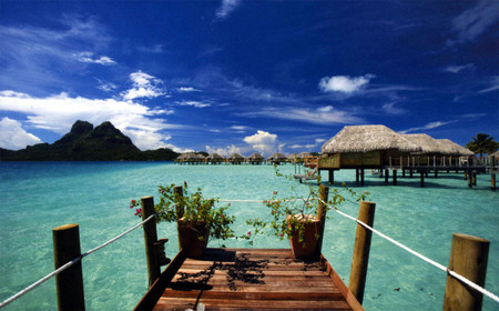 Novice-pokal/Tahiti-vacations